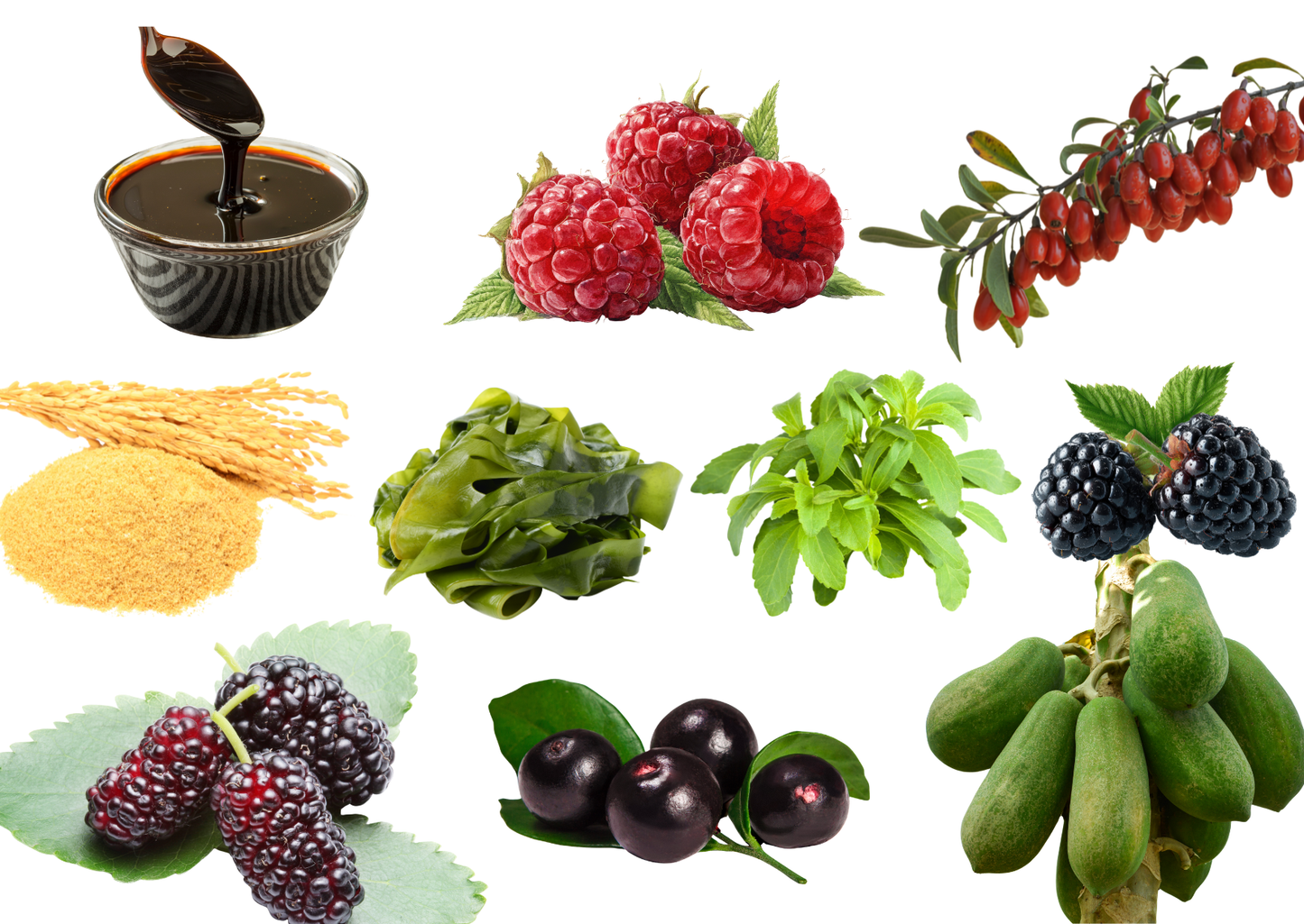 EpicBiome Pets - EpicG