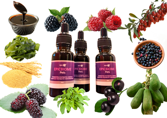 EpicBiome Pets 110ml - EpicG